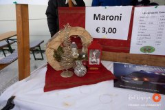 Adventmarkt-7159