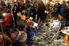 Adventmarkt-7456