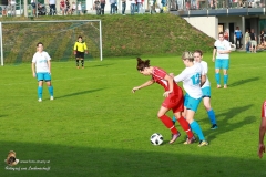Damen -SV Wolfern 2-2 (127 von 479)