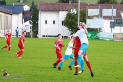 Damen -SV Wolfern 2-2 (197 von 479)