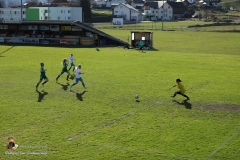 SVO-Antiesenhofen 2-1 (134 von 201)