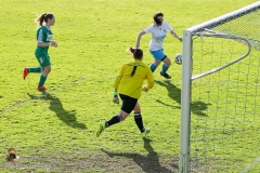 SVO-Antiesenhofen 2-1 (195 von 201)