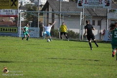 SVO-Antiesenhofen 2-1 (94 von 201)