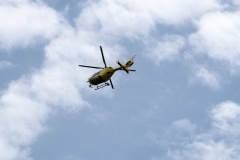 MV-8000-2019-66