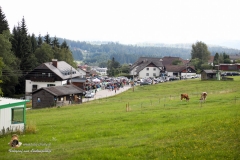 MV 8000 2017 Karl (208 von 740)