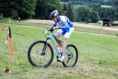 MV 8000 2017 Karl (311 von 740)