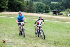 MV 8000 2017 Karl (314 von 740)