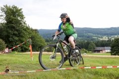 MV 8000 2017 Karl (355 von 740)