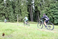 MV 8000 2017 Karl (359 von 740)