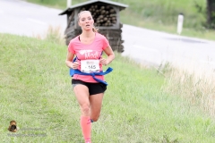 MV 8000 2017 Karl (412 von 740)