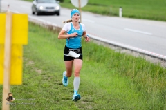 MV 8000 2017 Karl (423 von 740)