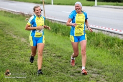 MV 8000 2017 Karl (562 von 740)