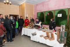 Oswalder Adventmarkt 2017 (154 von 117)