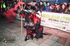 Perchtenlauf_173