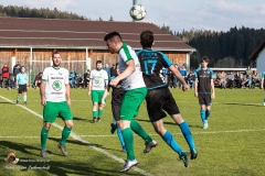 Sv Sandl-Alberndorf 1-1 (124 von 392)