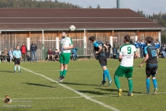 Sv Sandl-Alberndorf 1-1 (77 von 392)