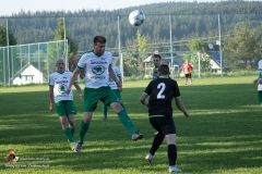 SV Sabdl-Leopoldschlag 0-5 (137 von 404)