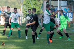 SV Sabdl-Leopoldschlag 0-5 (168 von 404)