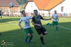 SV Sabdl-Leopoldschlag 0-5 (185 von 404)