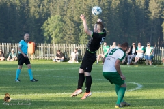 SV Sabdl-Leopoldschlag 0-5 (216 von 404)