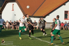 SV Sabdl-Leopoldschlag 0-5 (240 von 404)