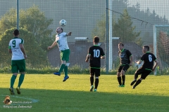 SV Sabdl-Leopoldschlag 0-5 (329 von 404)