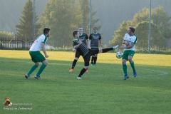 SV Sabdl-Leopoldschlag 0-5 (369 von 404)