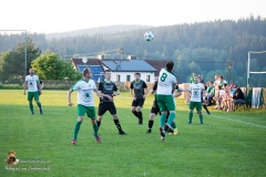 SV Sabdl-Leopoldschlag 0-5 (403 von 404)