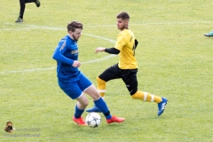 1b-Saxen 3-0  (4 von 112)