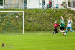 SVO-Aspach-Wildenau 3-0 (147 von 612)