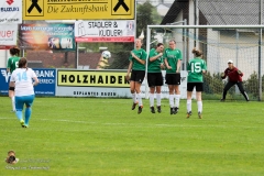 SVO-Aspach-Wildenau 3-0 (309 von 612)