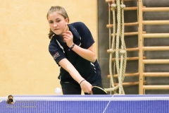 Tischtennis (215 von 313)